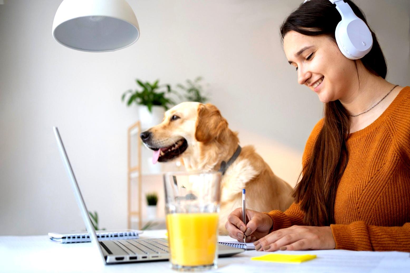 Equipo trabajando en estrategia financiera con documentos y ordenadores